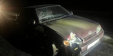 Трагедия под Орлом: машина насмерть сбила пешехода