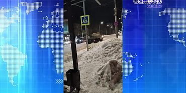 Впервые на Герценском мосту появились цветы. Экспресс - новости.