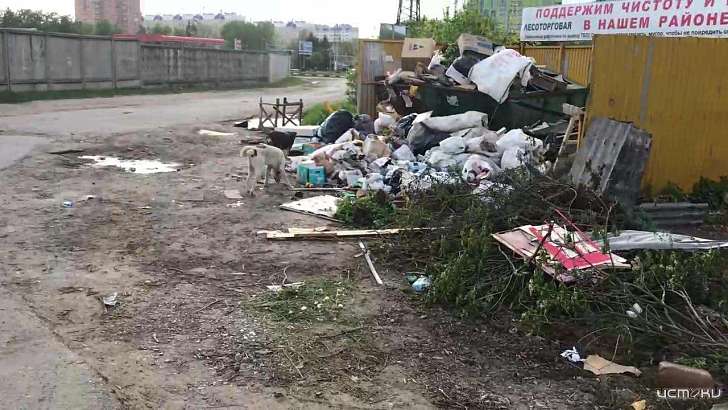 Источник зловония: прокуратура обратила внимание на свалку хлама в Орле