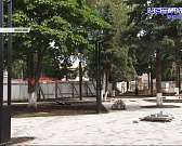 Парки обрабатывают от клещей, ул. Германо начала рушиться после ремонта, Пиняева возглавила облизбирком. Это и не только в следующей рубрике