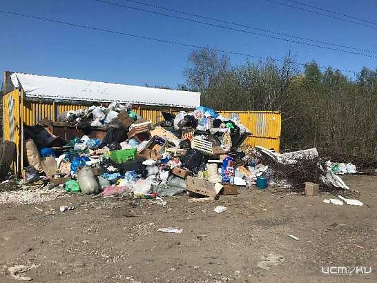 Директора «Зеленой рощи» отправили в соцсети, чтобы прочувствовать ситуацию с мусором в Орле