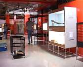 "В мире животных". В Орле открылся уникальный контактный зоопарк