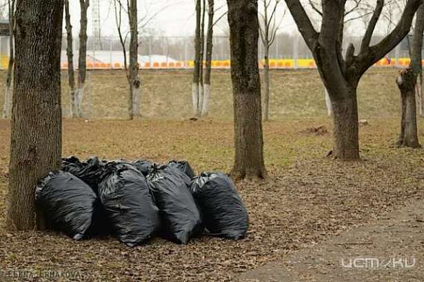 Общегородской субботник областного центра