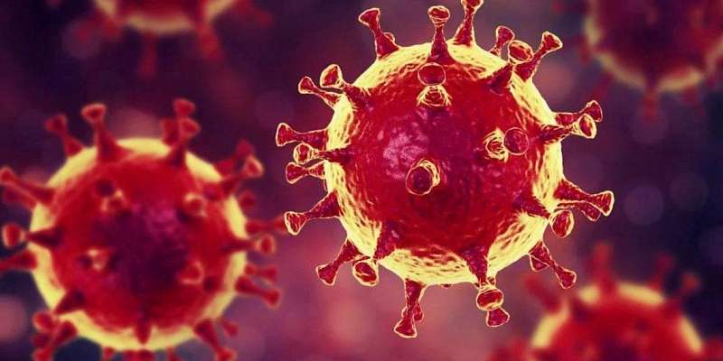 В Орловскую область коронавирус привезли из Арабских Эмиратов и Турции