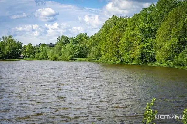 Роспотребнадзор не рекомендует купаться в 8 водоемах Орловской области