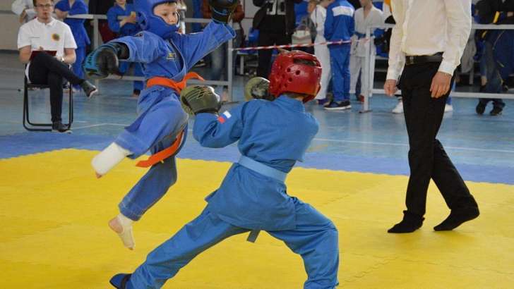 Главный приз путевка на Чемпионат России: в Орле завершился турнир по вьет во дао