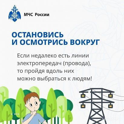 По грибы да по ягоды. Спасатели напоминают как не заблудиться в лесу