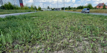 В Орловской области завершены комплексные кадастровые работы, запланированные на 2026 год