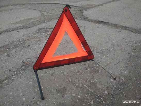 Под Орлом в аварии с кабаном пострадала женщина