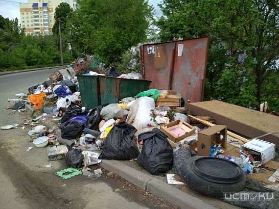 «Спецавтобаза» не справляется с вывозом мусора в Орле