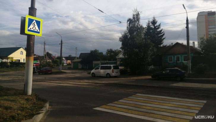 В Орле нашли зебру, угрожающую безопасности детей