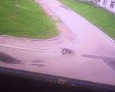 В Орле начали проверку по делу о нападении бродячих собак на мальчика