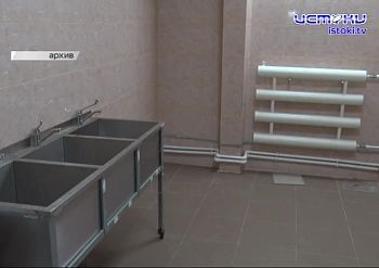 Бродячие собаки в Орле: угроза растёт, а решения нет