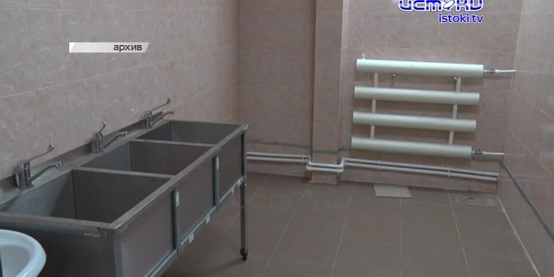 Бродячие собаки в Орле: угроза растёт, а решения нет
