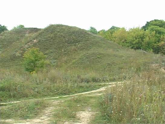 Подземная жизнь Орла