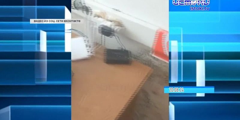 Новостной Дайджест 24.08.2024
