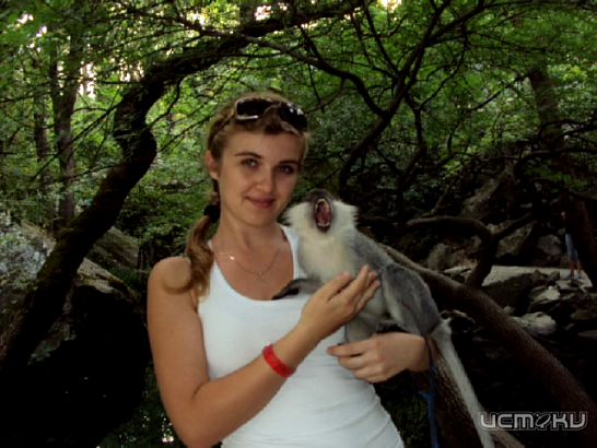 Лето-это маленькая жизнь 