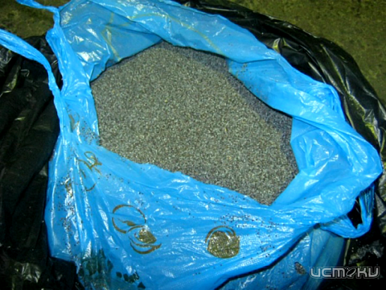 Новости за 90 секунд: туристы возвращались с отпуска с 24 килограммами мака, тульский водитель сбил ребенка, а орловские лихачи продолжают игнорировать ПДД. 