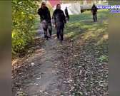 В Орле агрессивный пёс загрыз сородичей