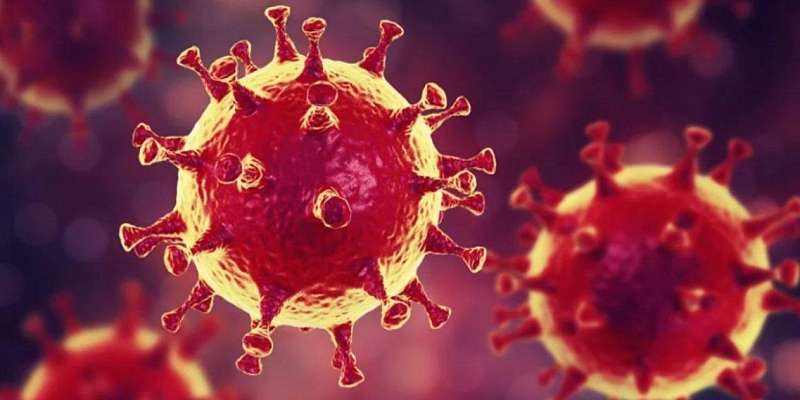 В Орловской области на коронавирус проверили уже более 700 человек