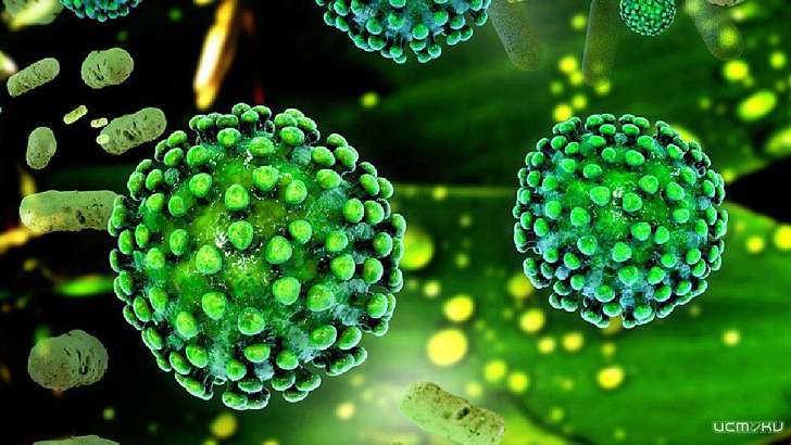 Число заболевших коронавирусом на Орловщине перевалило за 17 тысяч