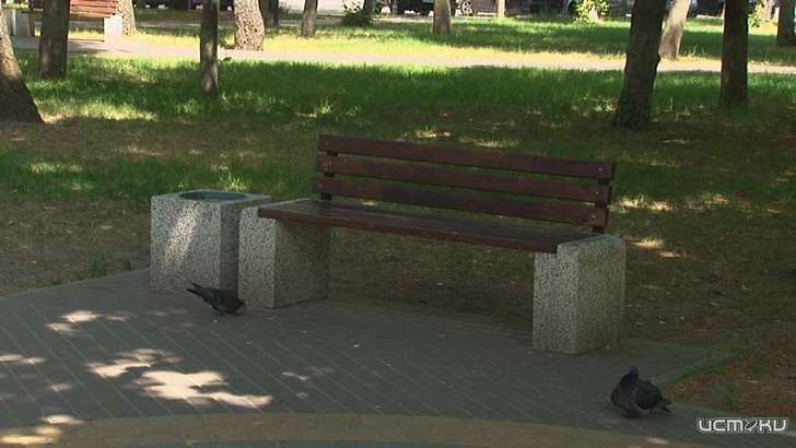 В Орле зарастают бурьяном благоустроенные скверы