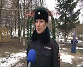 Украшать игрушками новогоднюю елку - ГИБДД