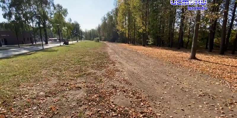 В Орле парк Победы превращается в зону для автомобилей