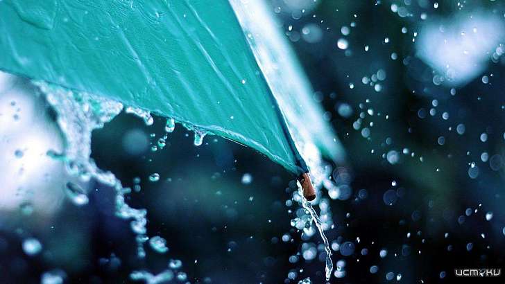 Третий февральский день в Орле будет ветреным и дождливым