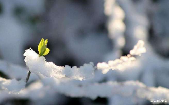 В Орле в выходные дни будет тепло и без осадков 