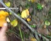 Скорая помощь не смогла попасть в больницу из-за ремонта теплотрассы, орловчанка рассказала жуткую историю о собаках, а музей ИЗО никто не захотел рем...