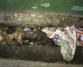 Дом с риском для жизни