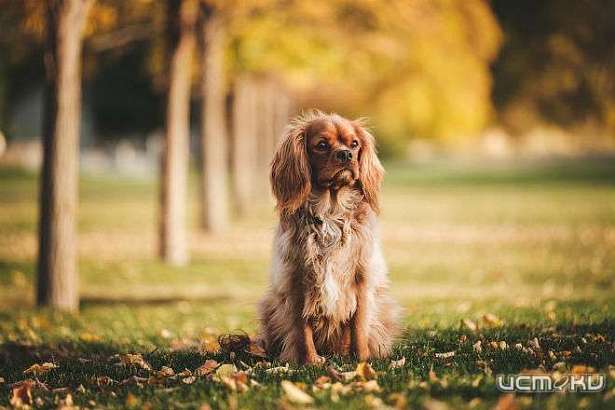 Вторник будет теплым и сухим