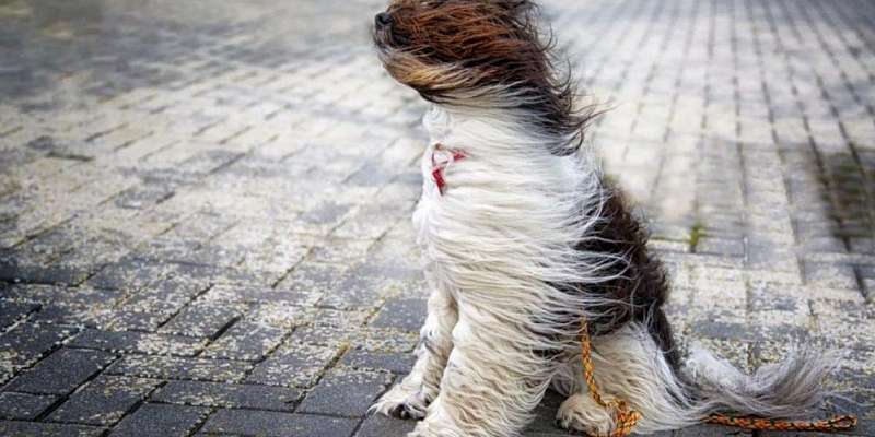 В ближайшие сутки на Орловщине вновь ухудшится погода