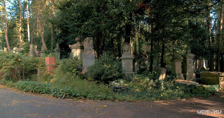 Помощь и поддержка ритуальных агентств в трудную минуту жизни