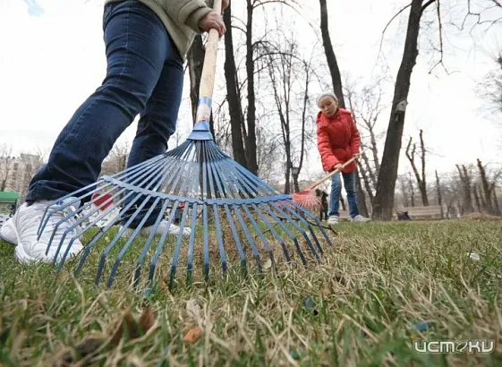 На этой неделе в Орле пройдёт первый общегородской субботник