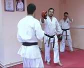 «Мечты сбываются!» Орловчанин Давид Навоян вошел в призовую 8-ку Открытого Чемпионата Америки 2015 по киокушинкай