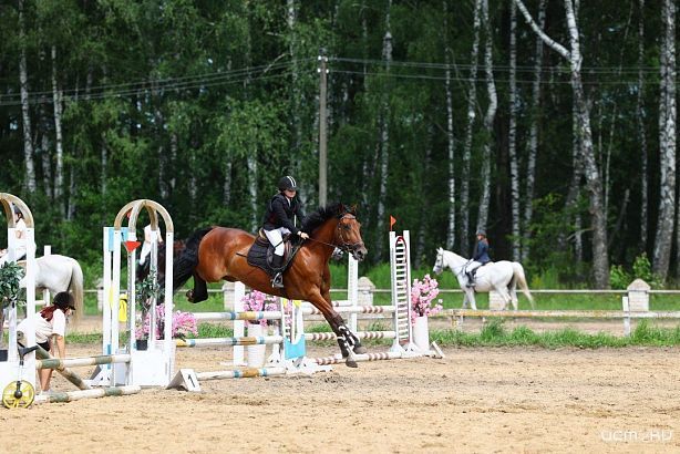 В Орле состоится Первенство по конному спорту