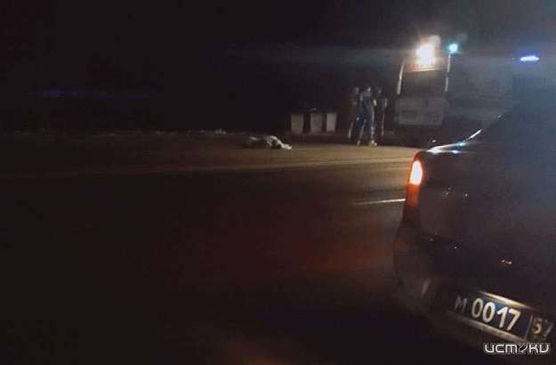 Ночью на Карачевском шоссе в Орле мужчина погиб под колесами ГАЗа