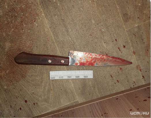 Орловчанка убила сожителя