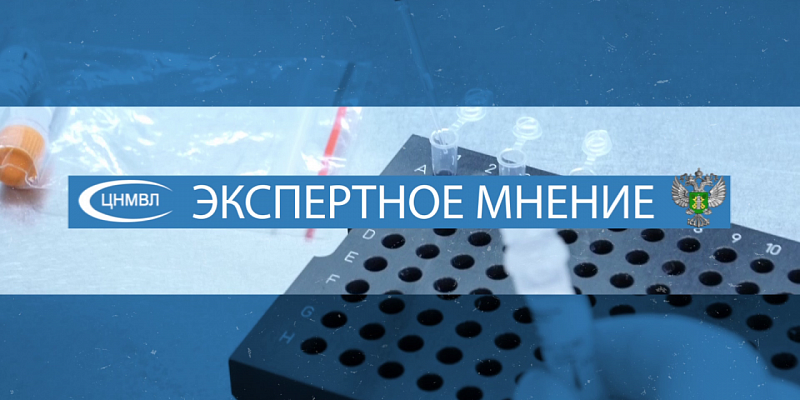 Экспертное мнение 01.03.23