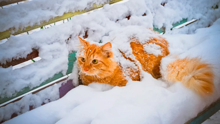 Первый рабочий день на этой неделе будет морозным и солнечным