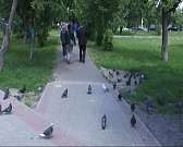 В Орле состоялось закрытие фестиваля LUDI, а хулиганы, расшатавшие дорожный знак, попали на видео. Новости за 90 секунд