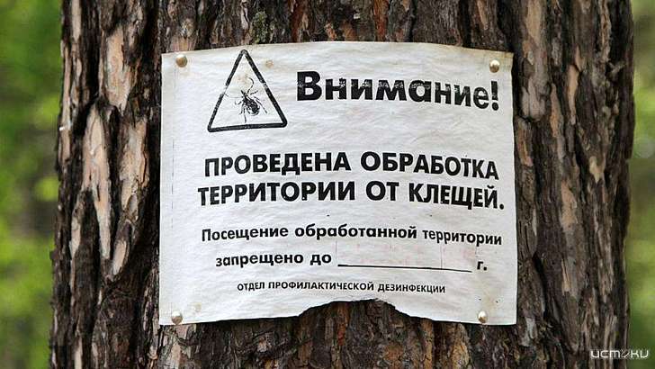 Орловчан просят повременить с прогулками в парках и скверах