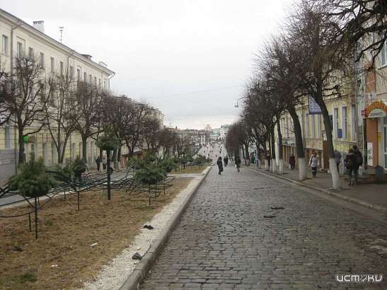 В Орле дома на улице Ленина могут выкрасить в единые цвета