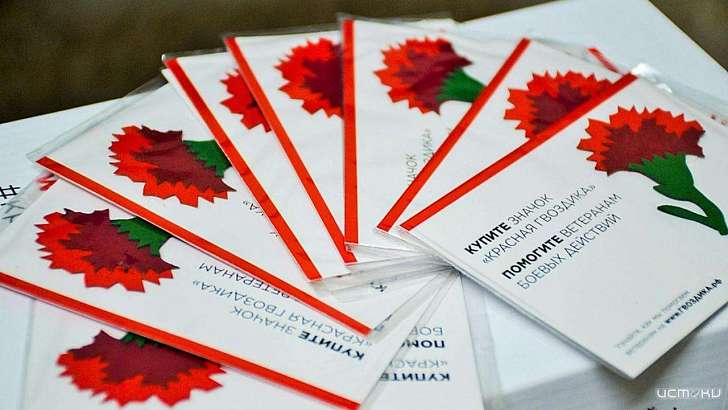 В поддержку ветеранов в Орле начали продавать значки «Красная гвоздика»