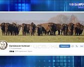 Не утащишь!