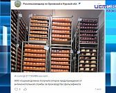 Надо ли бояться современного молока?