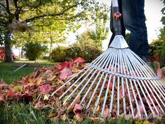 Орел готовится к большому субботнику