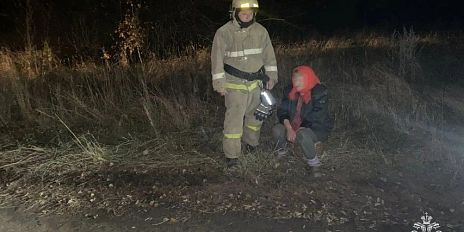 За грибами — и в другую область: пожилая орловчанка вместо даров леса набрала километров